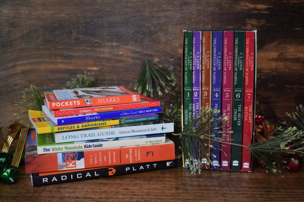 2019 Healthy Stocking Stuffer Ideas.  A stack of books with pine needles around them.