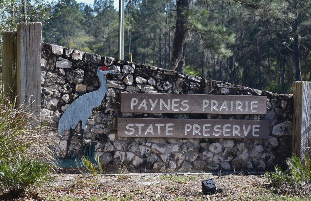 Explore Four Florida State Parks