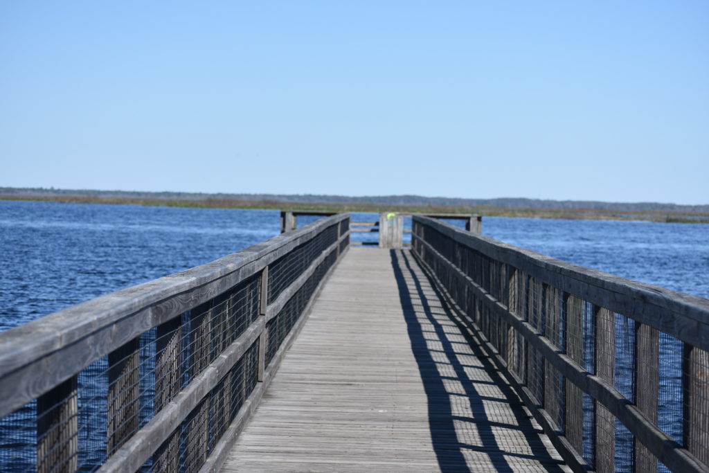 A northern view of four Florida Sate Parks