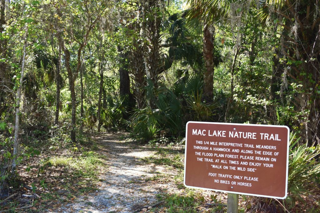 a northern view of Florida State Parks