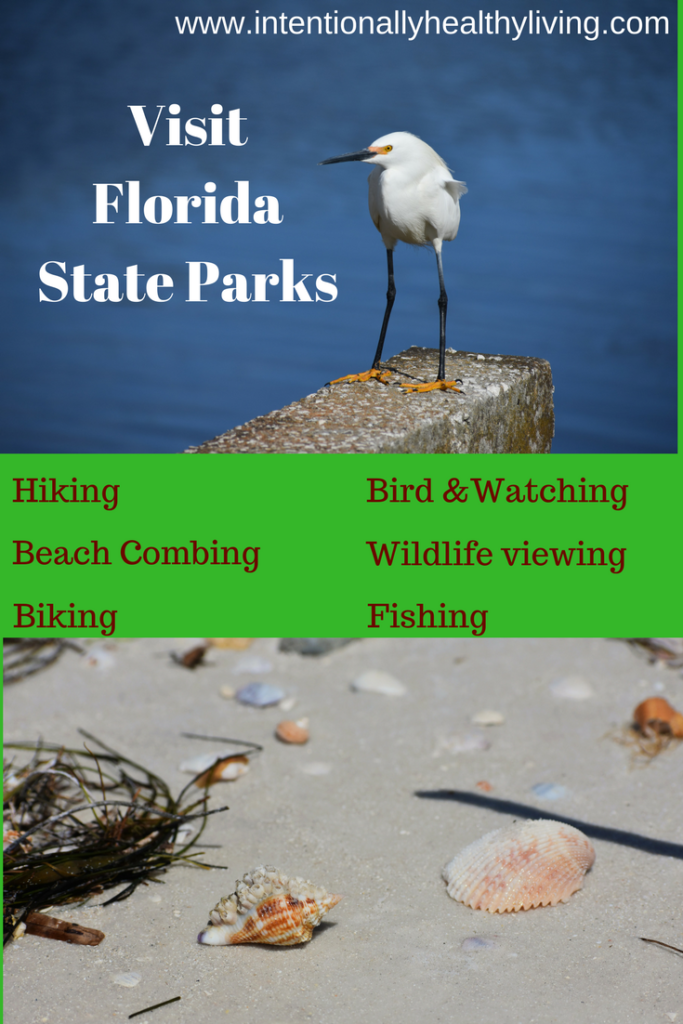 A Northern View of Four Florida State Parks at www.intentionallyhealthyliving.com