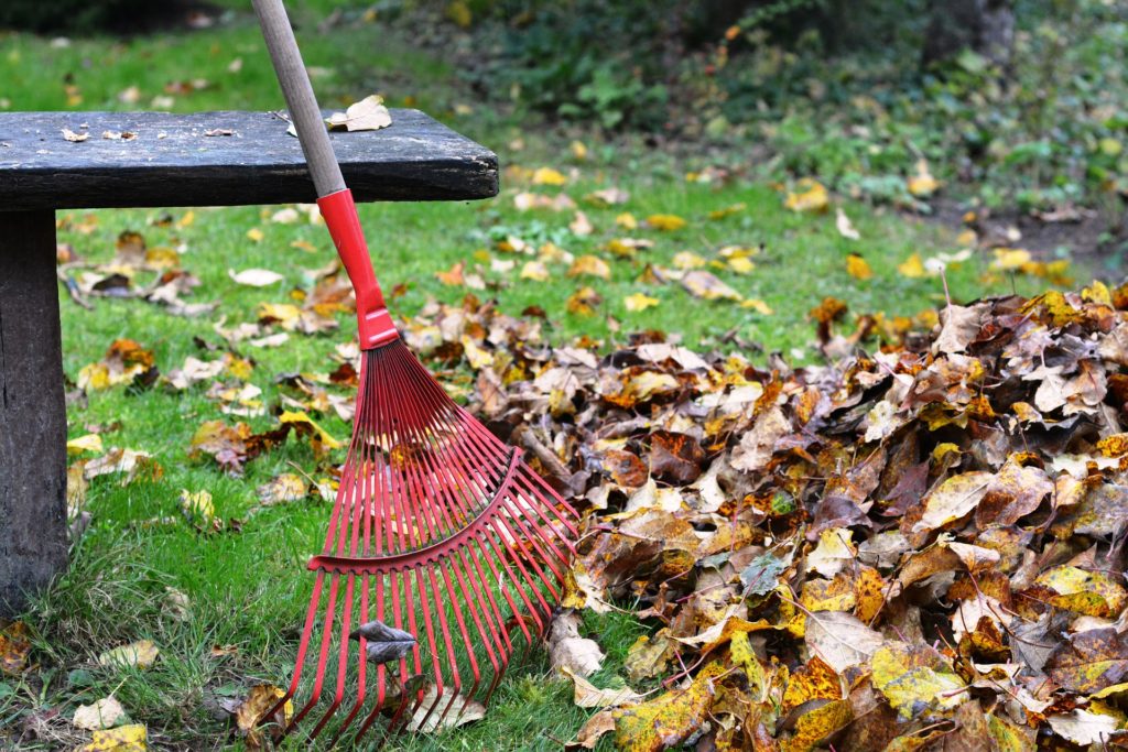 Healthy Outdoor Activities for Fall and Winter