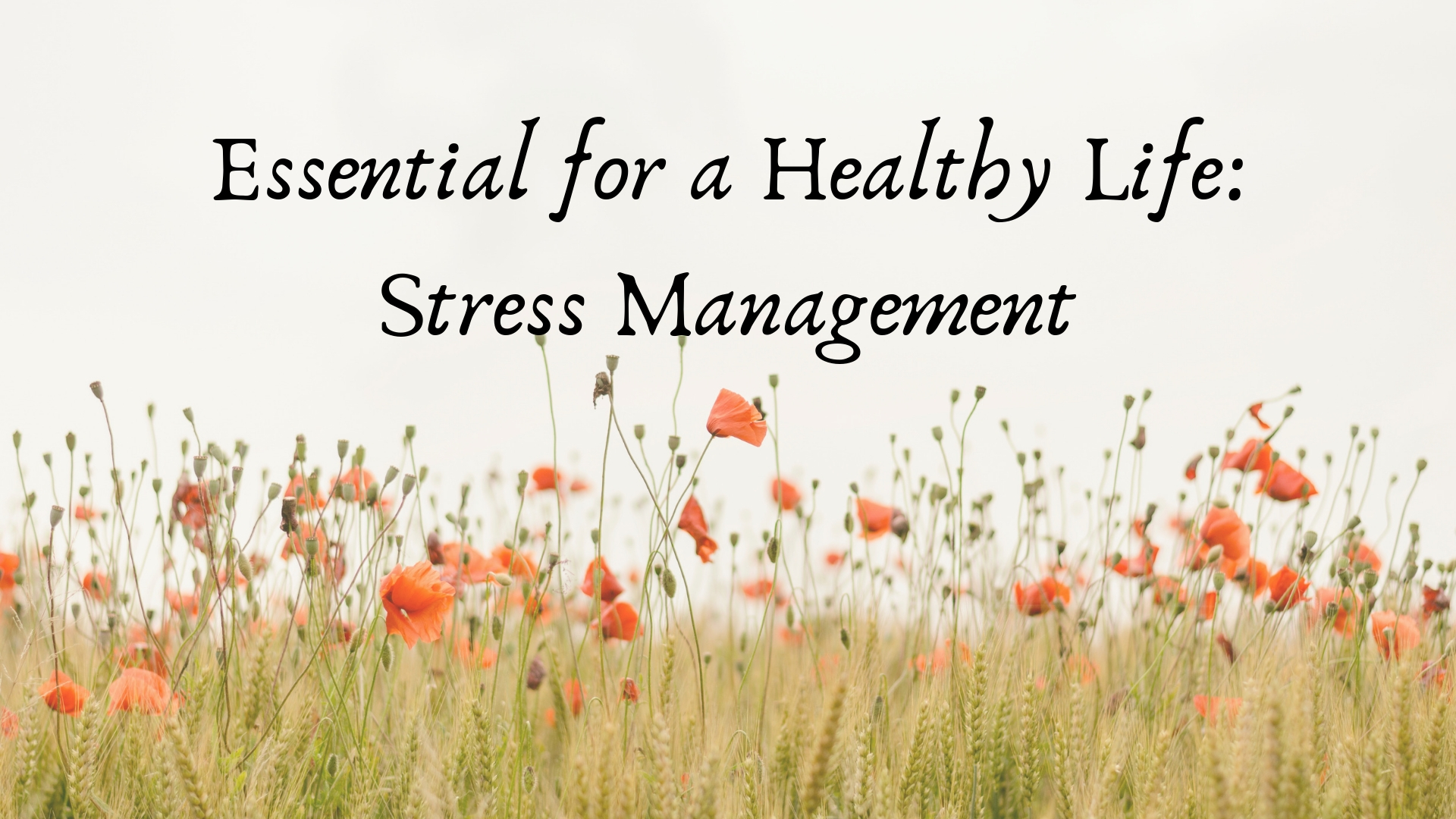 Healthy Stress Management