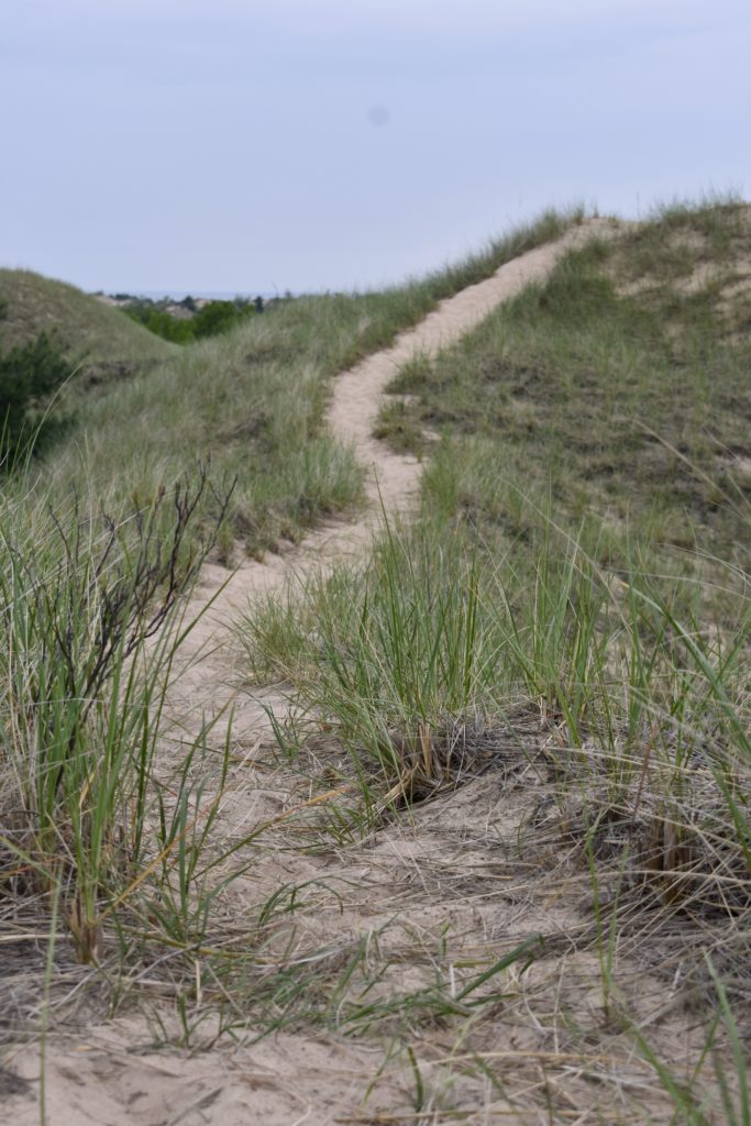 Explore Michigan Lighthouses & Sand Dunes. A sandy trail along a sand dune.