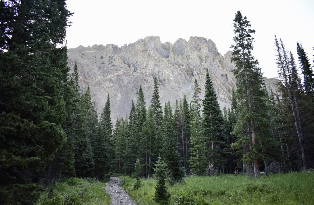 State Forest State Park in Colorado.  The trail to Lake Agnes.