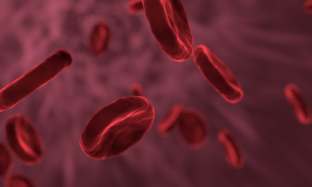Natural sources of anemia.  Red blood cells.