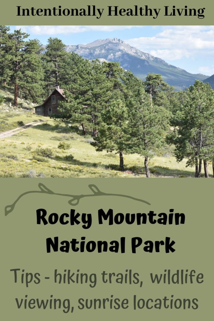 Rocky Mountain National Park Adventure. #hikingtrails #nationalpark #campingcolorado #wildlifeviewing #photography 