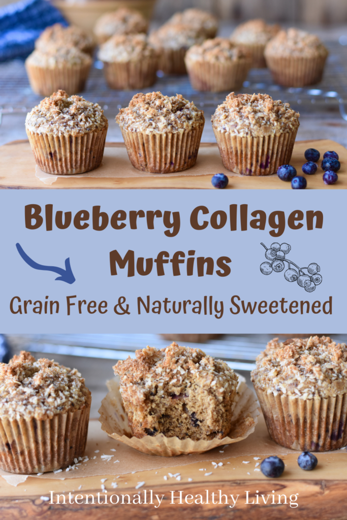 Grain Free Blueberry Collagen Muffins #glutenfree #healthykids #protienmuffins #notreenuts #dairyfree #lowsugar #naturallysweet #grainfreemuffins