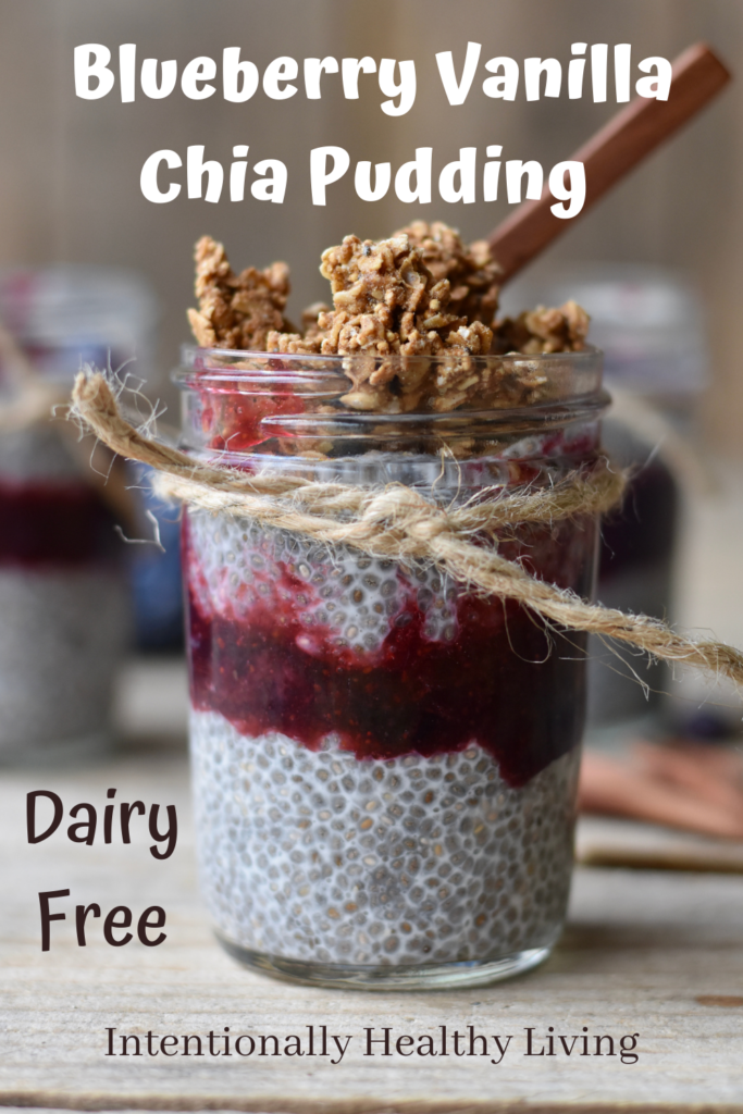 Blueberry Vanilla Chia Pudding #dairyfree #glutenfree #highfiber #weightmanagement #lowsugar #cleaneating #healthyliving