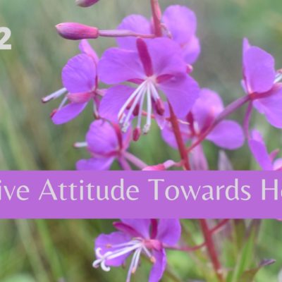 Positive Attitude Towards Health