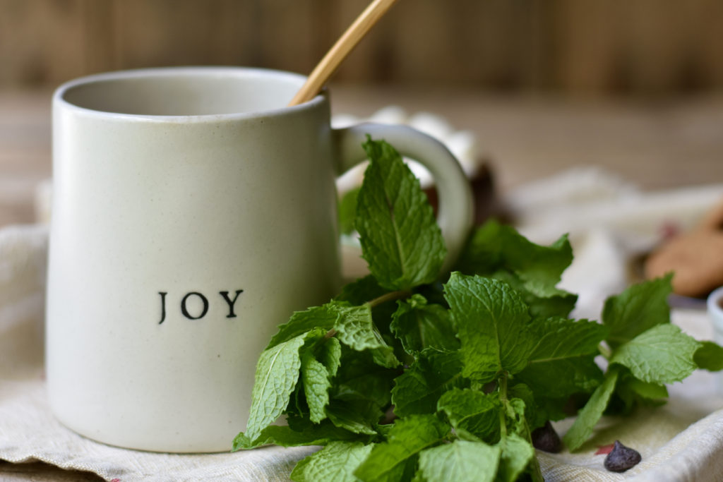 Naturally sweet hot cocoa with mint leaves beside the mug.