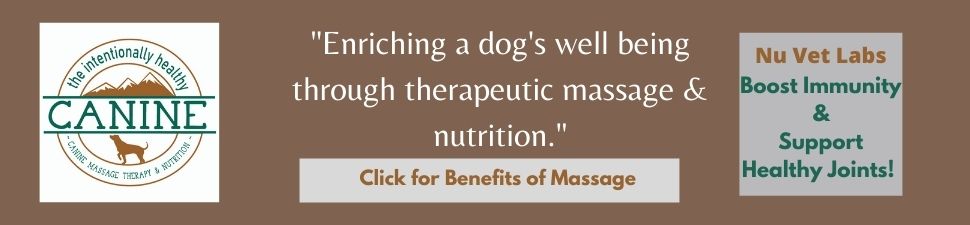 Link to learning about therapeutic canine massage.