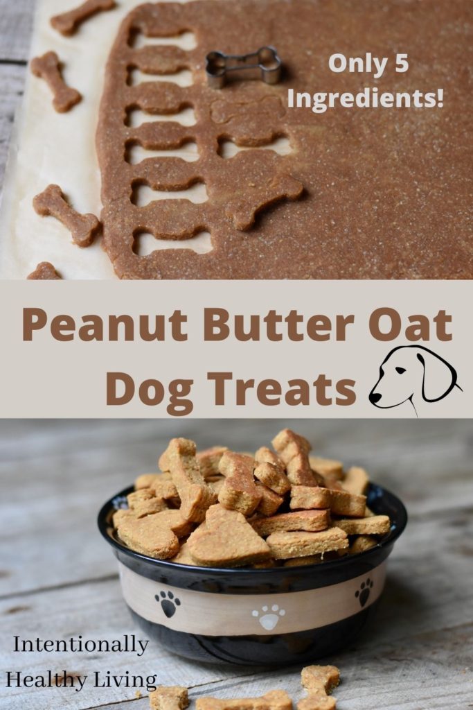 How to Make Health Dog Treats at Home #pets #dogs #homemade #peanutbuttertreats #dogtraining #cleaneating