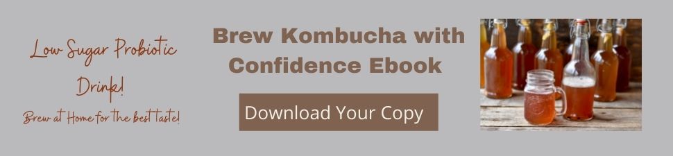 Download the link to learning how to brew your own kombucha.