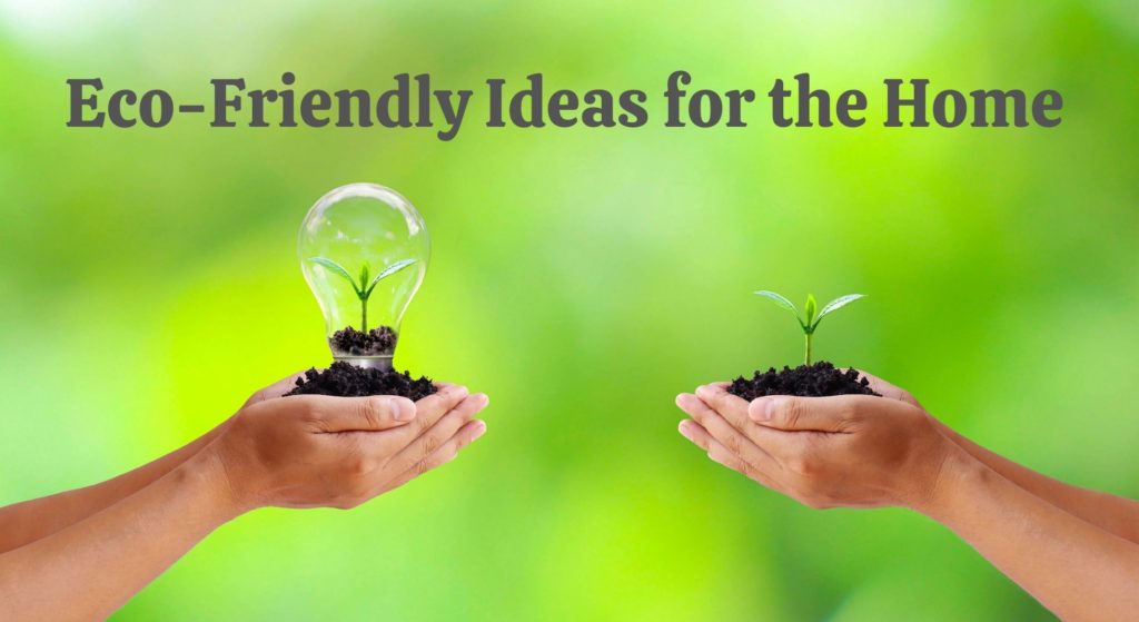 Two hands with a mound of dirt, one with plant sticking out and the other with a plant and lightbulb.  Both are symbolizing how to make my home eco-friendly.