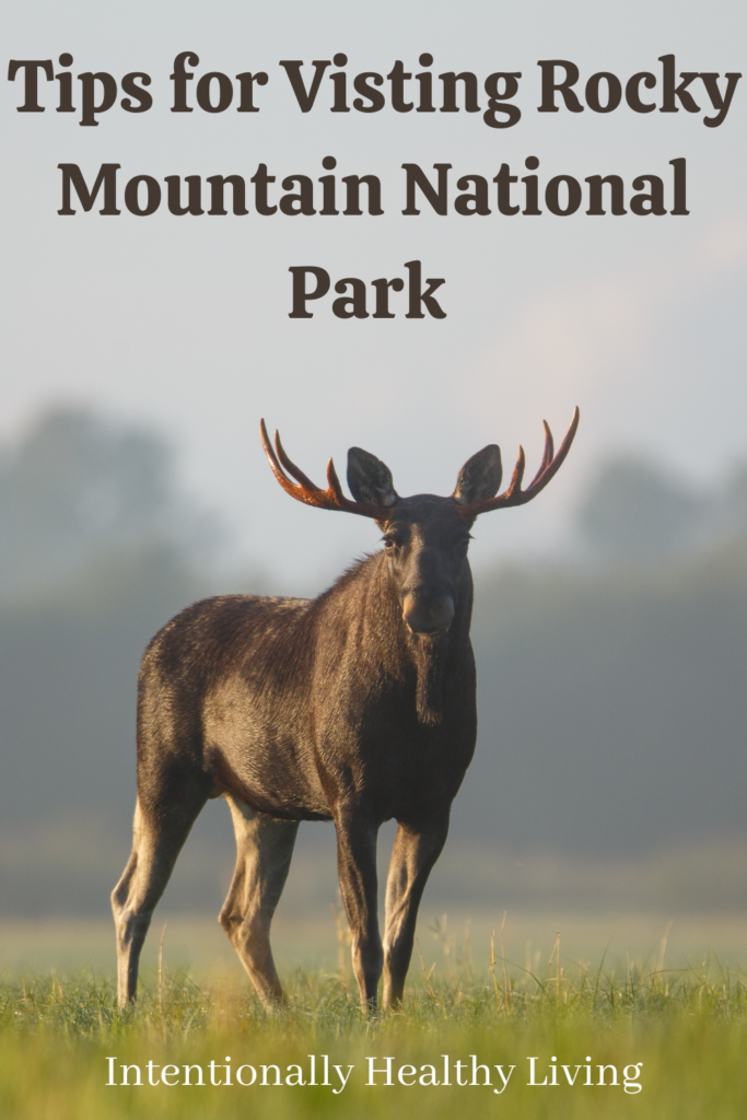 Rocky Mountain National Park Adventure #familycamping #nationalparks #wildlifeviewing #wildlifephotography #hikingtrails #campingcolorado #mountainlakes #coloradowaterfalls