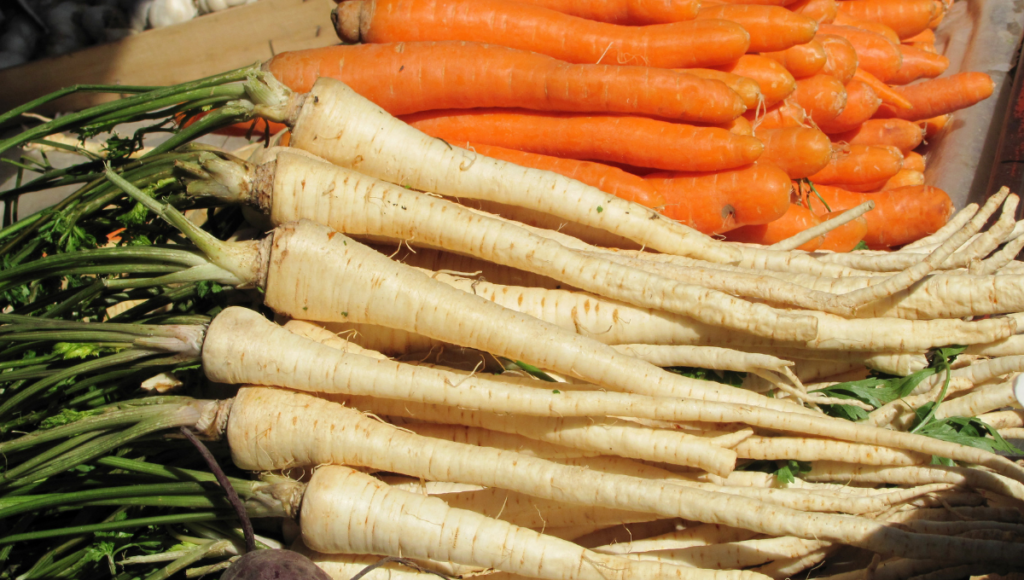 A large bunch of parsnips and carrots shown.