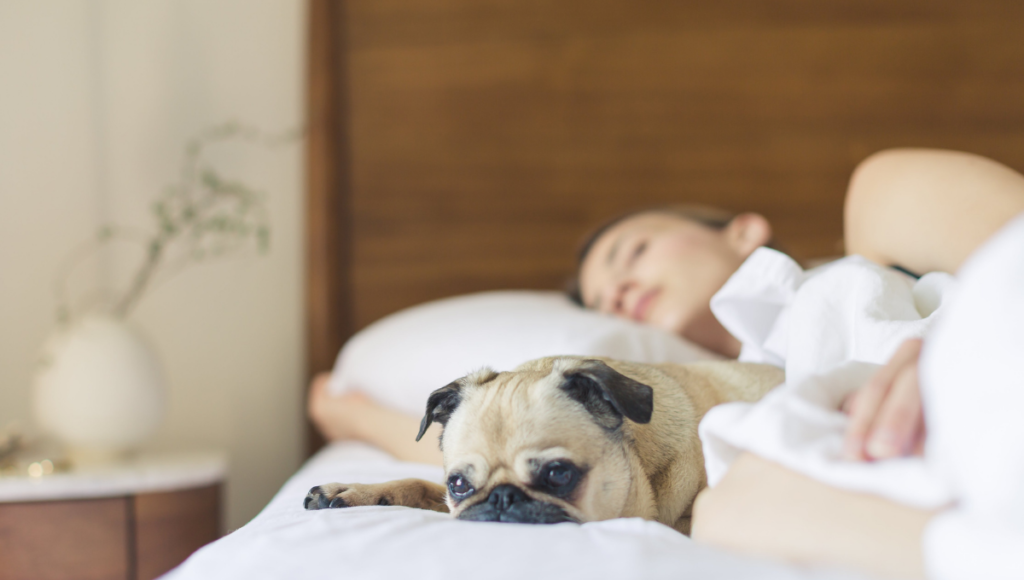 Tips for better sleep with a women and her dog sleeping on a bed with white sheets.