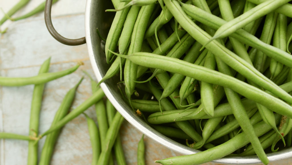 How to can green beans with a colander full of freshly picked green beans.
