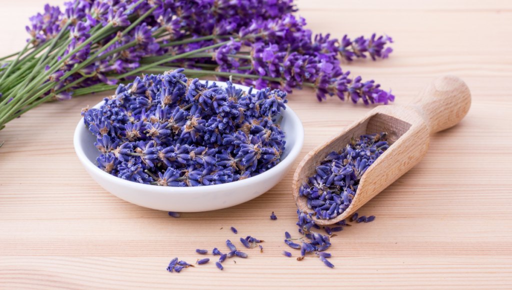 Benefits of Lavender and Lemon Essential Oils with lavender petals in a white dish.