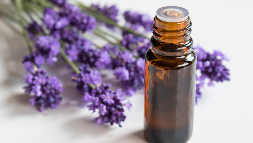 Benefits of Lavender and Lemon Essential oils with a bottle of lavender oil.