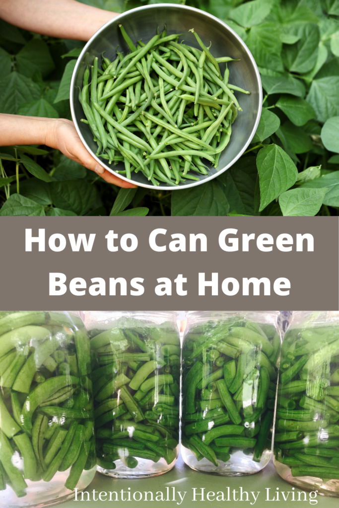 How to Can Green Beans #homesteading #homecanning #preservefood #organic #cleaneating #healthyliving #gardening #vegetables #summer